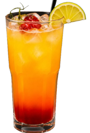 Citrus Dawn Cocktail