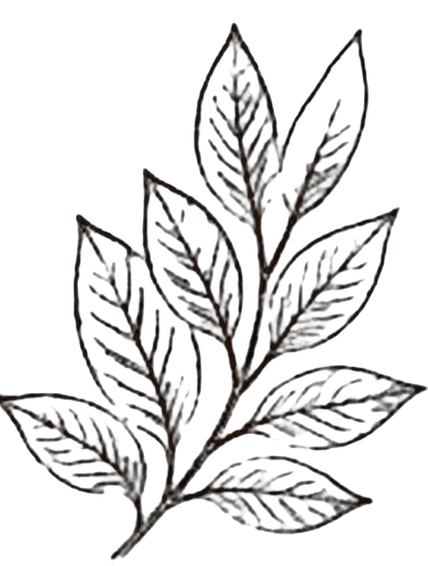 Design element
